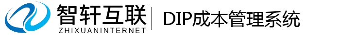 DIP成本管理系统